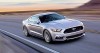 mustang3.jpg