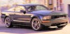 newmustang1.jpg